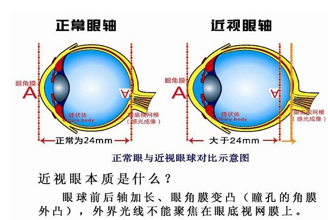 微信图片_20220810102708.png