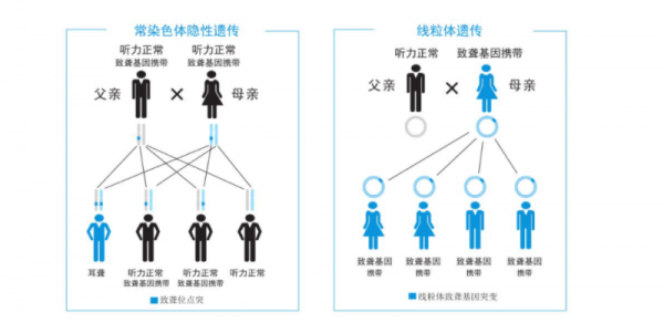 微信图片_20220812103200.png