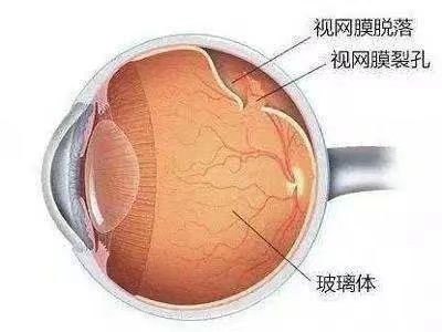 微信图片_20230821150116_1.png