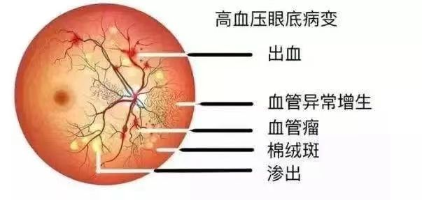 微信图片_20230821150115.png