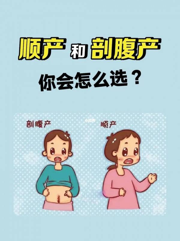 微信图片_20240604100525.jpg