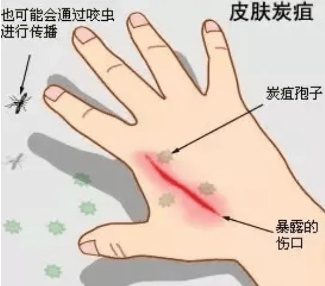 微信图片_20240801095625.png