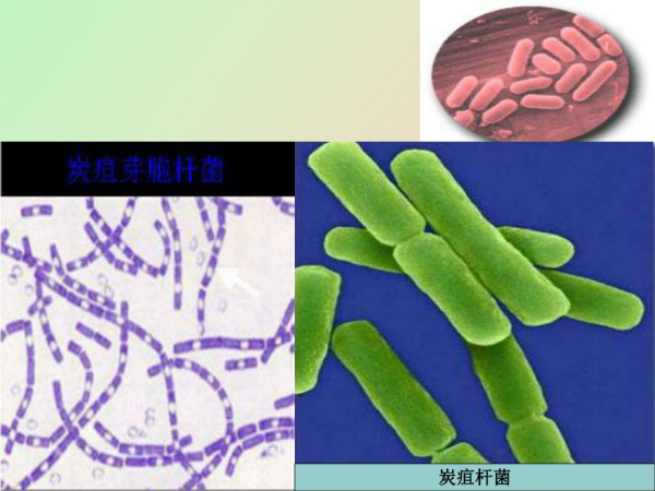 微信图片_20240801095527.png 微信图片_20240801095527.png