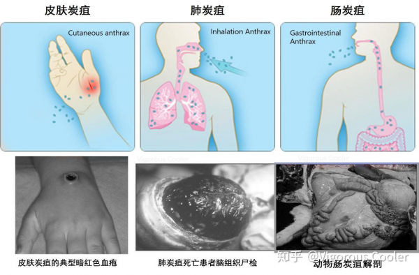 微信图片_20240801095903.png