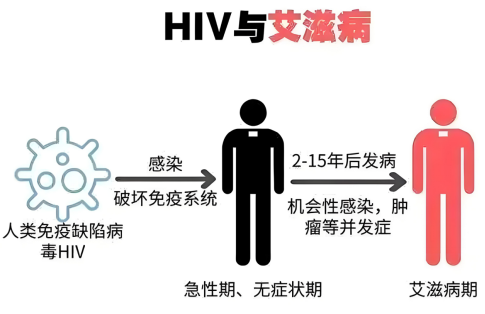 微信图片_20250116092059.png